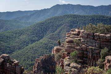 Rock formations, called organs, in Mediterranean forest. Benitandus