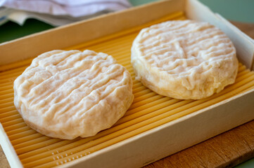 French cheeses collection, soft round white Saint-Felicien cow's milk cheese with white mold from Rhone-Alpes region of France