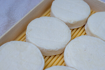 Rocamadour soft goat AOC cheese with soft rind on aging process produced on farm in Perigord and Quercy takes its name from village of Rocamadour in departement Lot, France