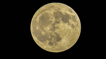 Obraz premium full moon in the night