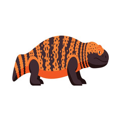 Illustration of a Gila Monster with orange and black markings, standing on a white background.