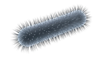 Detailed microscopic view of a single rod-shaped bacterium with numerous flagella