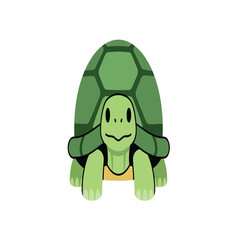 A cartoon illustration of a green turtle facing forward, with a detailed shell.