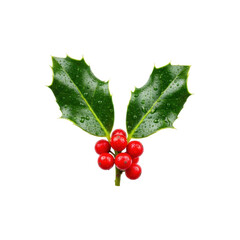 Perfect emerald green holly sprig with glossy leaves, ruby red berries, and subtle dew drops, centered on a clean transparent background, professional commercial product photography concept of natural