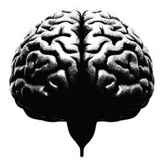 Detailed Human Brain Vector Sketch Illustration