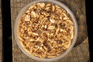maggots in a jar for fishing with a fishing rod, white maggots, maggots in sawdust