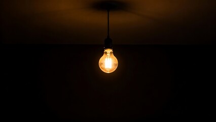 A single warm glowing incandescent light bulb illuminating a dark room.