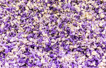 blue background of dried flowers of dried cornflower. Blue flowers of flower delicious tea. Rich color and taste of cornflower petal tea
