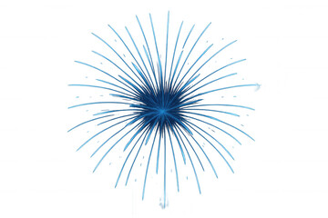 Fototapeta premium Blue firework exploding, vivid light effect creating radial pattern, festive celebration design element