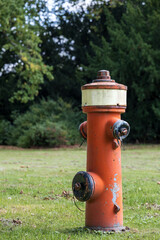 Old red fire hydrant on green grass field