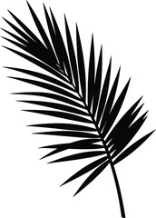 Fototapeta premium Scalable vector palm leaf illustration for tropical and nature designs eps