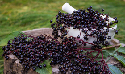 Elderberries for natural medicines in a mortar. Immunity