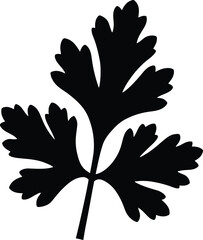 Obraz premium Black parsley leaf vector illustration scalable graphic for herbs and cooking projects