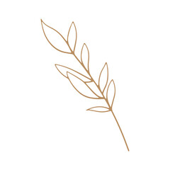 Hand-Drawn Floral and Botanical Illustrations