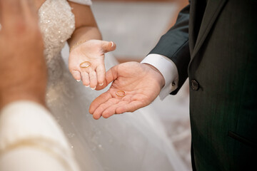 perro, animal, mascota, cachorro, negro, canino, engendrar, mujer, chicos, mama, papa, embarazo,...