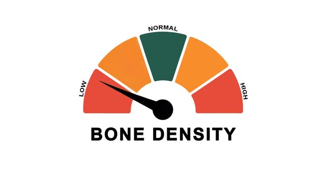 Animated bone density level meter moving from low level to normal level, ideal for concepts related to bone health, osteoporosis management, and medical monitoring