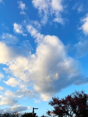 夕暮れ時の青空に厚い雲