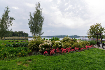 Lakeside Flowerbed and Landscape View