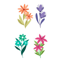 Vibrant Floral Arrangements in Four Distinct Styles, Colorful Botanical Displays