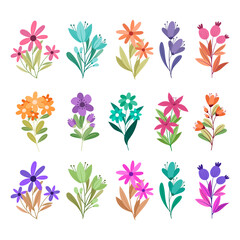 Collection of various colorful botanical illustrations with a white background, featuring flowers