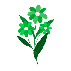 Green Daisy Flowers Illustration - A Beautifully Illustrated Botanical Design