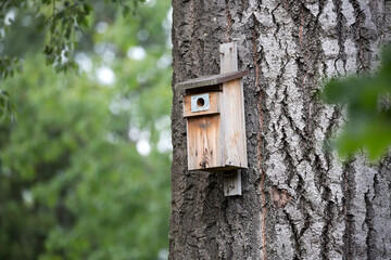 Bird feeder on a tree