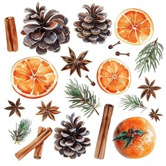 Watercolor Christmas set with pinecones, orange slices and spices