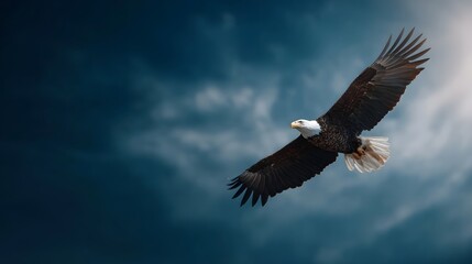 Naklejka premium Majestic bald eagle soars through a dramatic cloudy sky illuminated by breaking sunlight symbolizing freedom and power