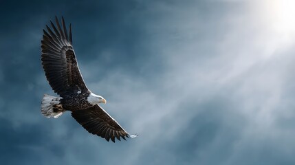 Fototapeta premium Bald eagle flying majestically through a cloudy sunlit sky