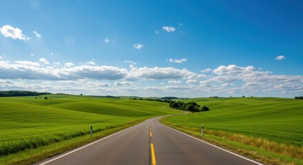 Fototapeta premium Sunlit rural road winding through vibrant green fields under blue sky 