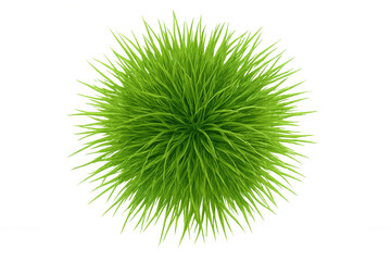 Green grass tuft sphere, top view, natural foliage for landscaping and design, transparent background