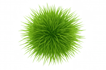 Green grass tuft sphere, top view, natural foliage for landscaping and design, transparent background