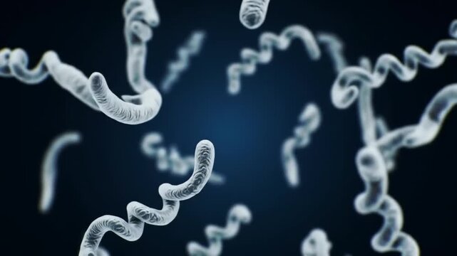 Spiraling microbe organisms float in dark blue void