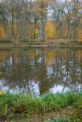 La mare aux Evées, Massif de la forêt de Fontainebleu, 77, Seine et Marne , France