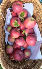 basket of apples