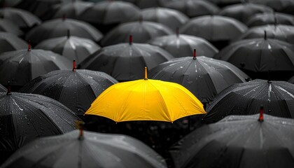 Yellow umbrella among black umbrellas—bright yellow center contrasts with uniformly arranged black umbrellas covering entire frame, emphasizing individuality, uniqueness, and standing out in a uniform