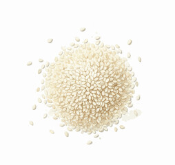 Pale Scatter white sesame isolated watercolor vector illustration svg