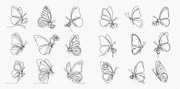 A collection of beautiful butterflies and flowers drawn in a minimalist, continuous single line art style.