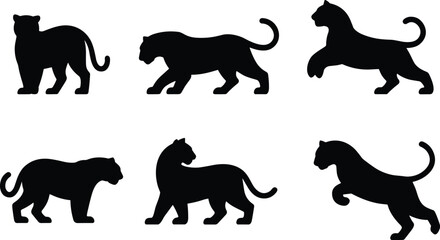 Set of Six Black Silhouettes of Big Cats in Dynamic Walking, Standing, and Leaping Poses for Wildlife Vector DesignSet of Six Black Silhouettes of Big Cats in Dynamic Walking, Standing, 