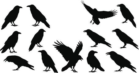 Crow and raven silhouette collection, black bird design, spooky Halloween illustration, flying raven, scary dark crow artwork, horror decoration clipart