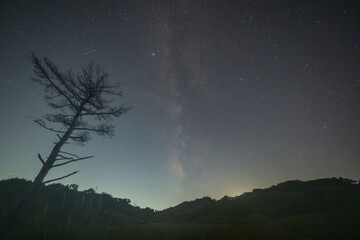 日本の兵庫県の砥峰高原の美しい自然の風景