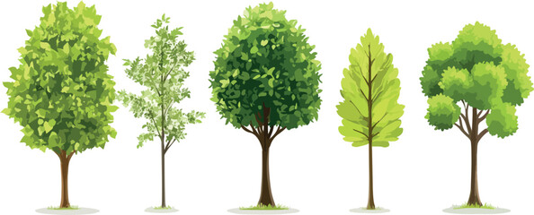 Fototapeta premium Collection of five diverse green leafy trees standing in a row on white background