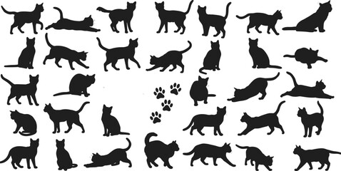 Black cat silhouettes collection with multiple poses, sitting, walking, stretching, playful, paw prints, vector illustration, halloween design, animal artwork
