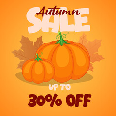 The background of the autumn sale with a pumpkin for a trade sale or a promotional banner. 