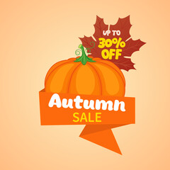 Autumn sale. Autumn sale banner with pumpkin and maple leaf. 