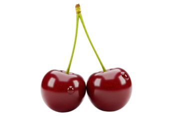 Two ripe cherries isolated on transparent background, fresh red fruit with green stems for healthy eating and summer dessert