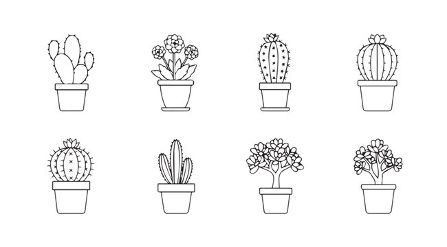 Vector art of cactus