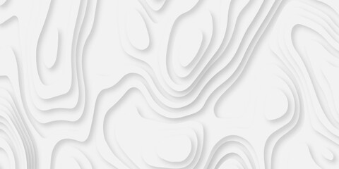 Abstract white paper cut background with lines. Background of the topographic map. White wave paper curved reliefs abstract background. Realistic papercut decoration textured with wavy layers.	