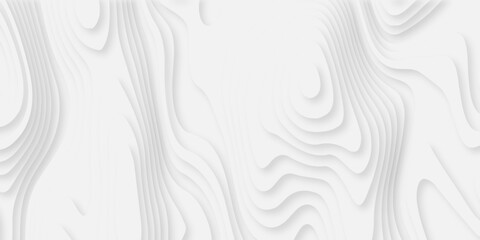 Abstract white paper cut background with lines. Background of the topographic map. White wave paper curved reliefs abstract background. Realistic papercut decoration textured with wavy layers.	