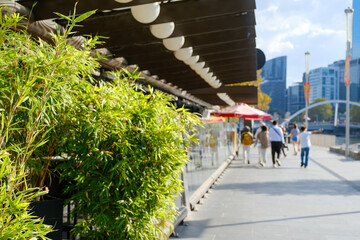 A riverside pedestrian walkway in Melbourne with bamboo plants and modern urban design.